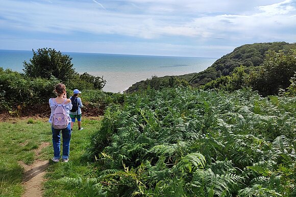2023_England_Hastings_Küste_2 Küste England Farn grün