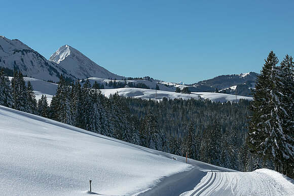 Skifreizeit
